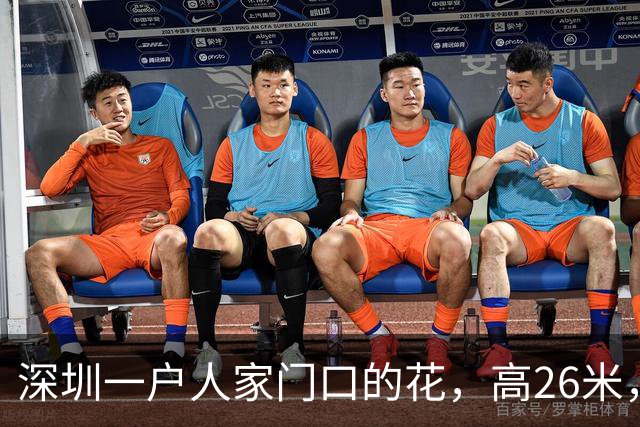 深圳一户人家门口的花，高26米，直接爬上9层楼，太壮观了