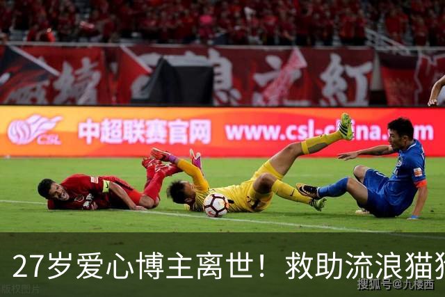 27岁爱心博主离世！救助流浪猫狗感染罕见真菌，ICU抢救22天，丈夫：她在我眼里没有缺点